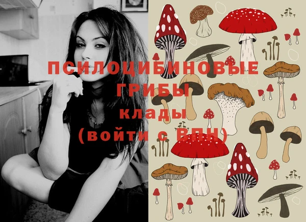 PSILOCYBIN Пролетарск