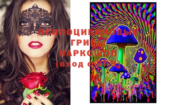 PSILOCYBIN Пролетарск