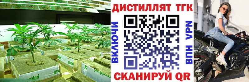 Купить  Шенкурск  ТГК THC oil 