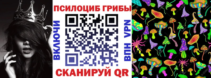 Галлюциногенные грибы Psilocybine cubensis  Купить  Шенкурск 